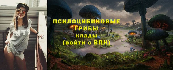a pvp Арсеньев